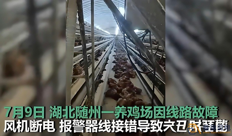養(yǎng)雞場為什么要24h監(jiān)測溫濕度斷電報警器？