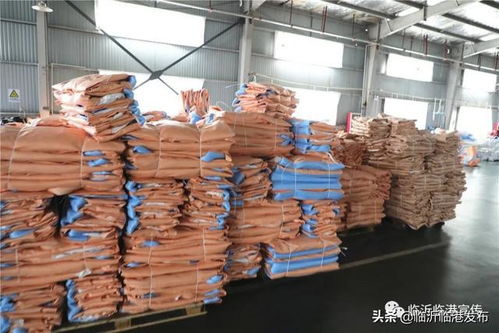 賣全球 看臨港小袋子如何撬動(dòng)7000萬